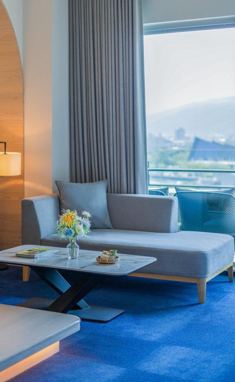 Mountain View Room